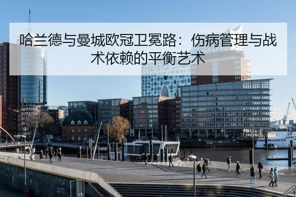 ha-lan-de-yu-man-cheng-ou-guan-wei-mian-lu-shang-bing-guan-li-yu-zhan-shu-yi-lai-de-ping-heng-yi-shu-3-635.jpg